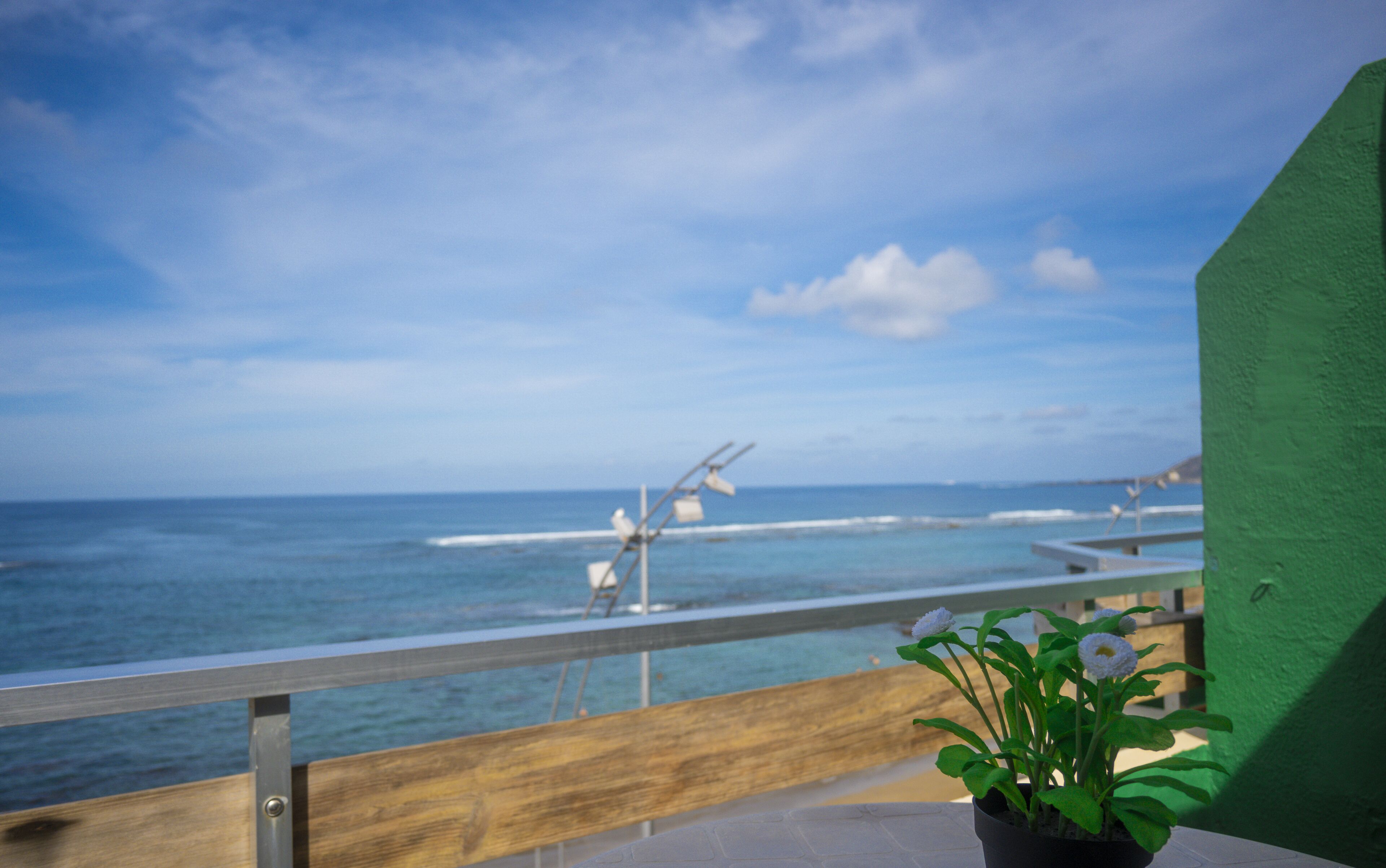 Un balcón con vistas al mar, una pared verde y una maceta con flores blancas.