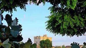 A stone wall with cacti and red flowers in a garden setting. - Tenuta Monacelli Lecce (Lecce)