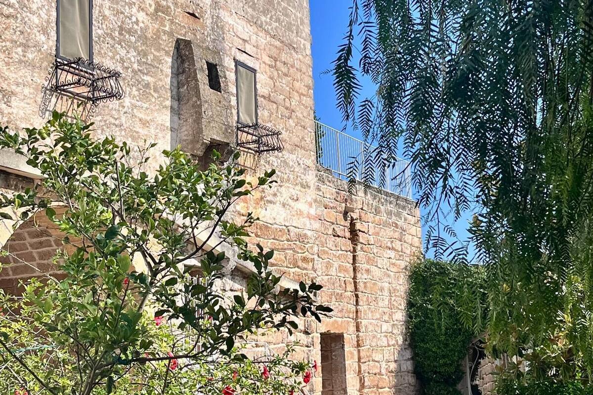 A stone building with a narrow passageway, a metal railing, and a tree with green leaves and red flowers.