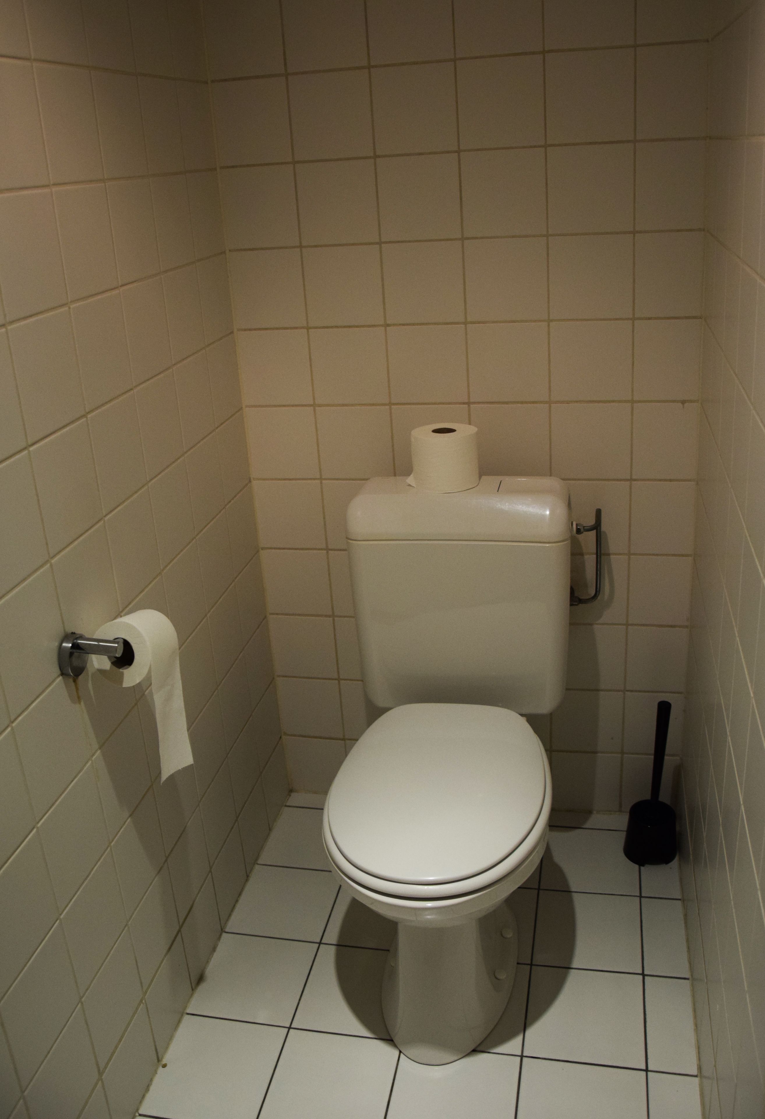 A small, tiled bathroom with a toilet, a toilet paper holder, and a plunger.