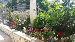 Garden - Apartments Hackl (Hvar)
