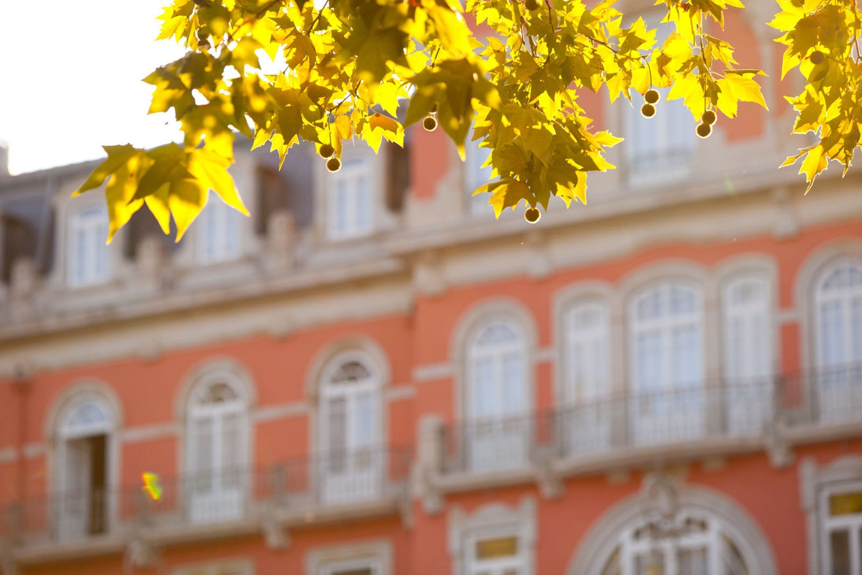 Un edificio con múltiples ventanas y balcones, que sugiere un entorno residencial u hotelero.