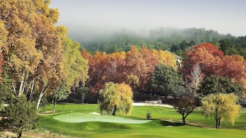 Enjoy a serene golf experience with a clear view of the fairway and greens.