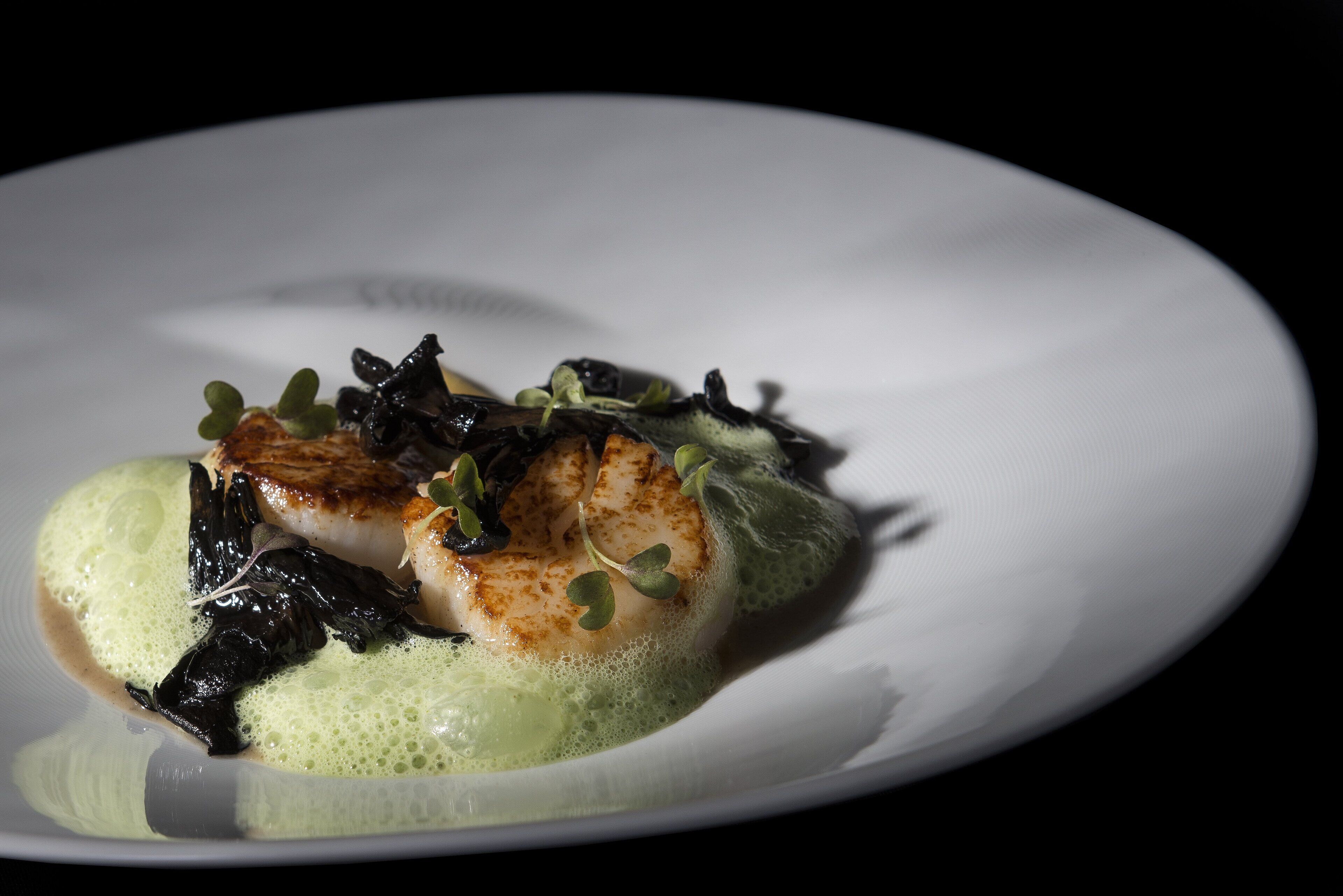 A white plate with a piece of seared fish, green sauce, and dark leafy greens.