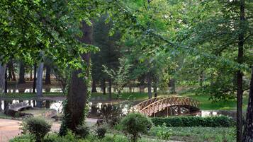 A wooden bridge over a pond in a park with trees and greenery.