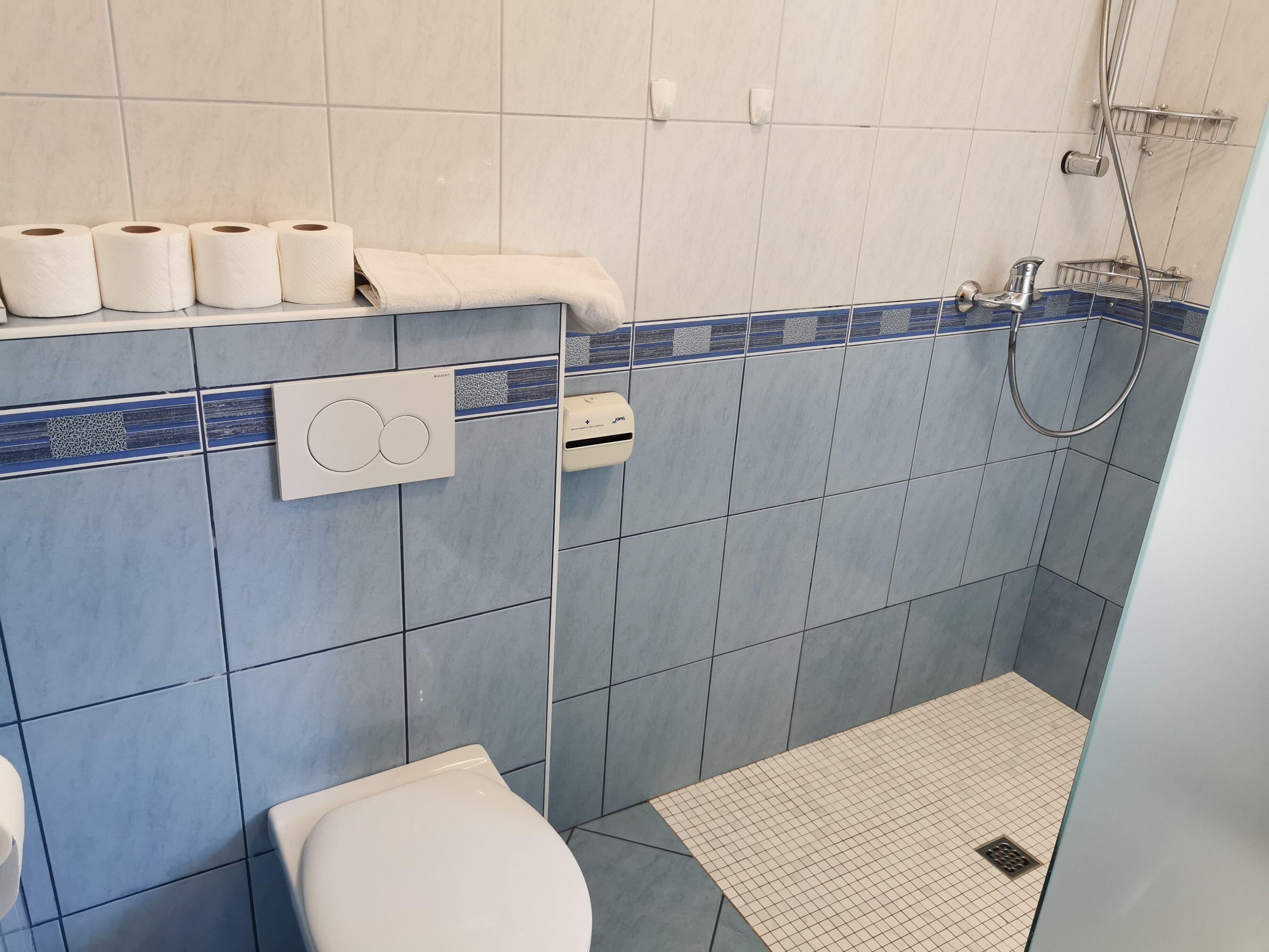 A bathroom with a toilet, a shower, and a towel rack with toilet paper.