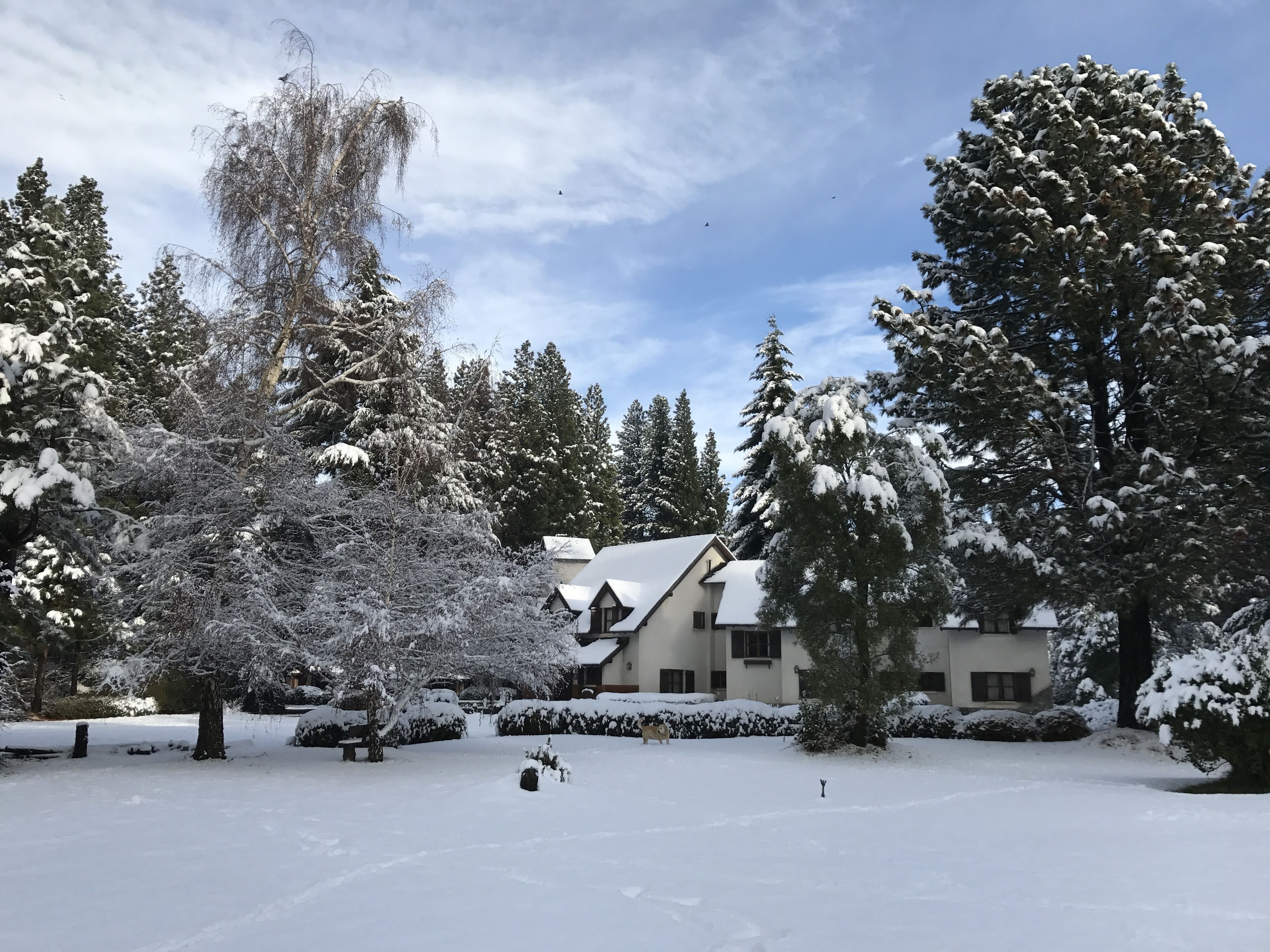 Foto - Posada del Angel