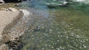 Un fiume che scorre attraverso una zona boschiva, con acqua limpida e rocce visibili lungo le rive.