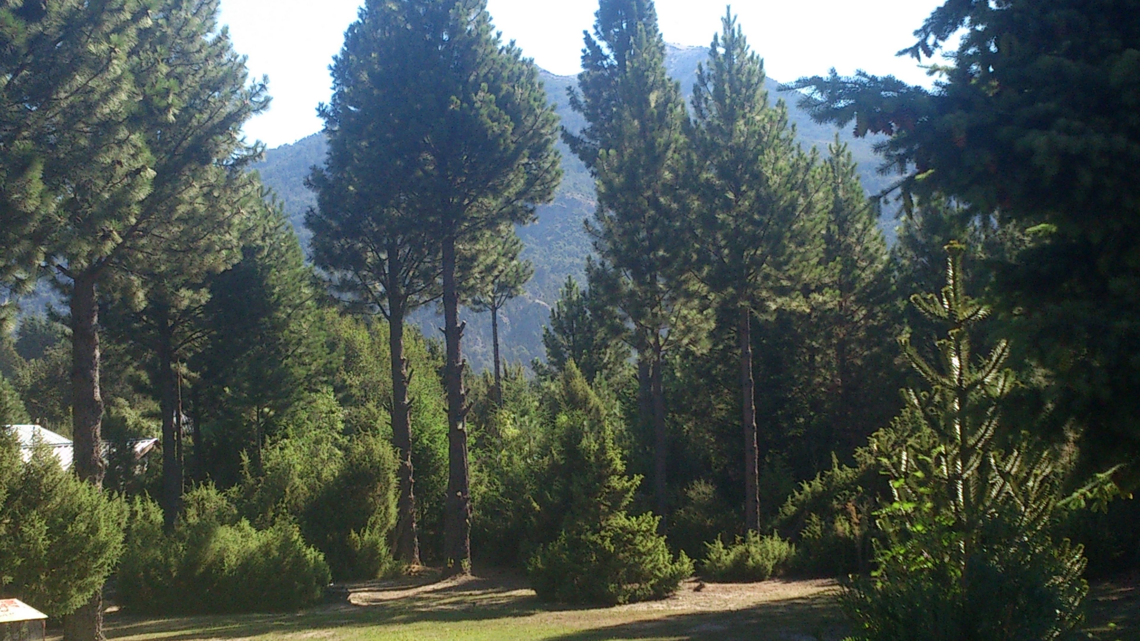 Foto - Posada del Angel