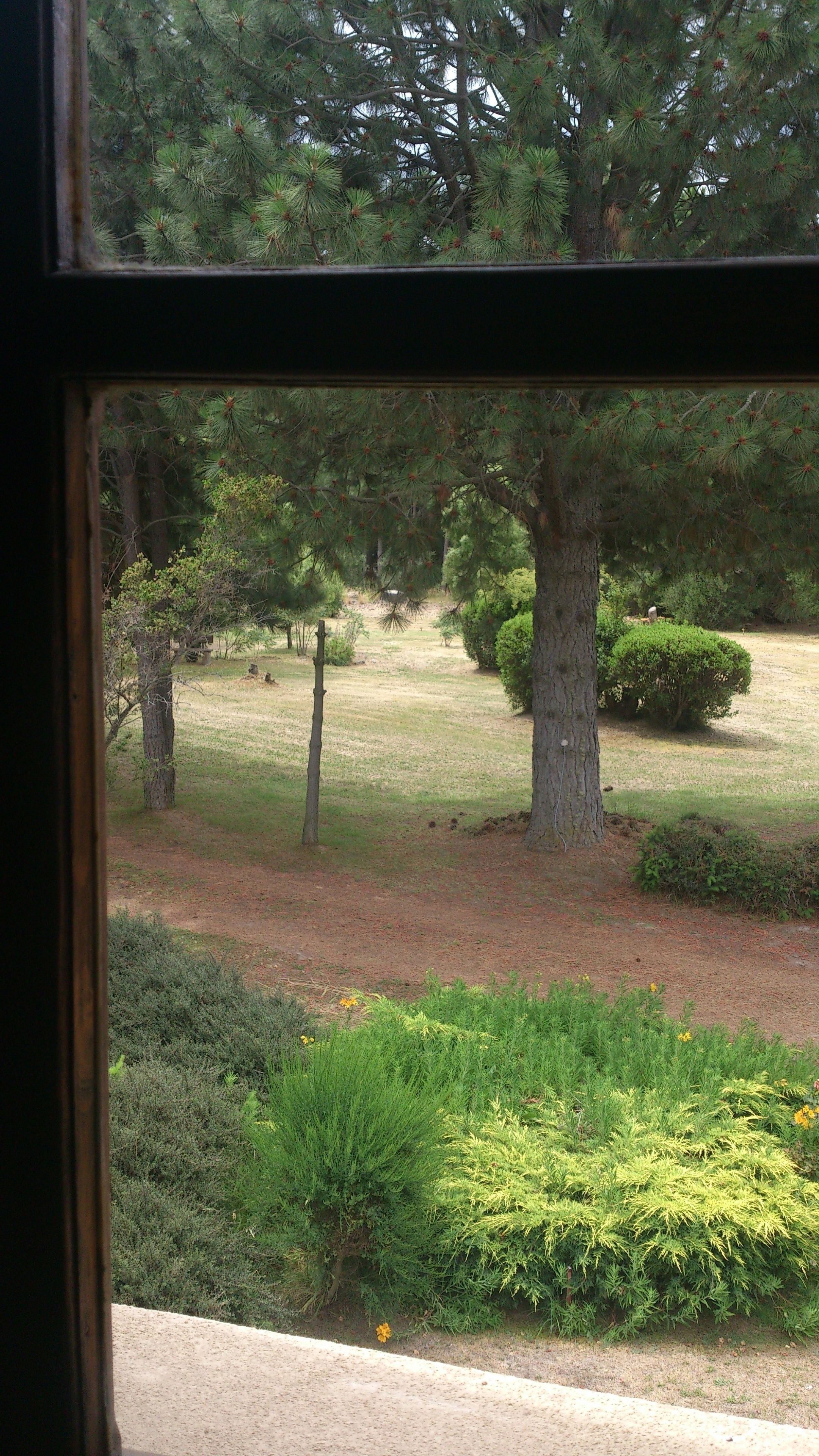 Foto - Posada del Angel