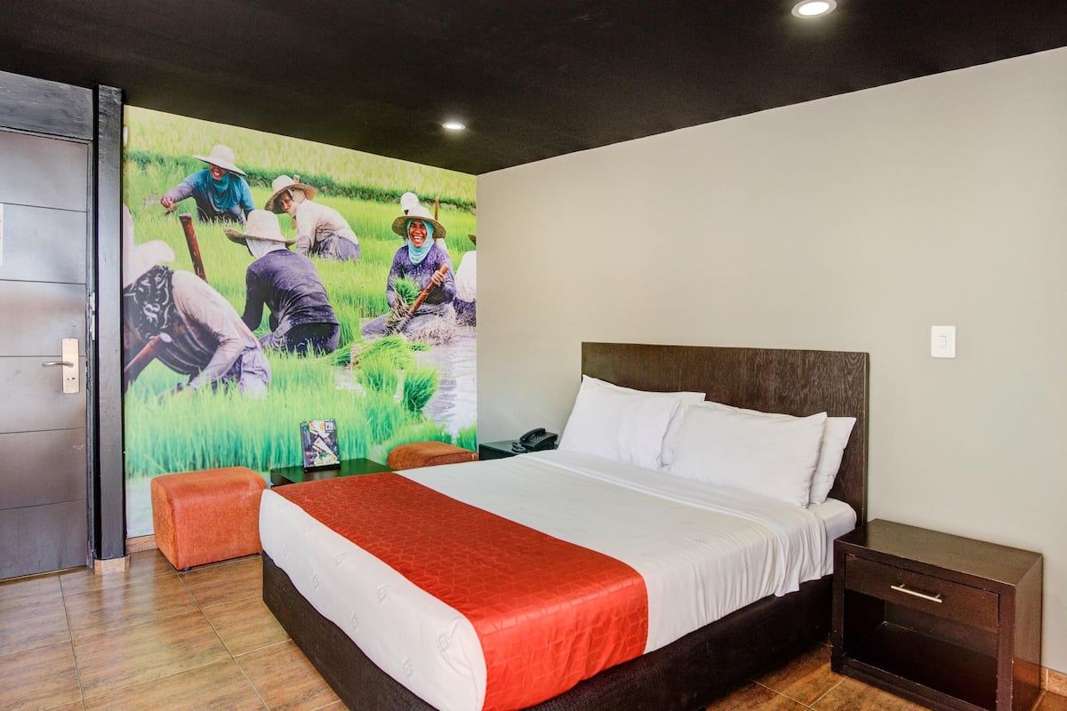 Ropa de cama de alta calidad, cubrecamas y colchones Select Comfort