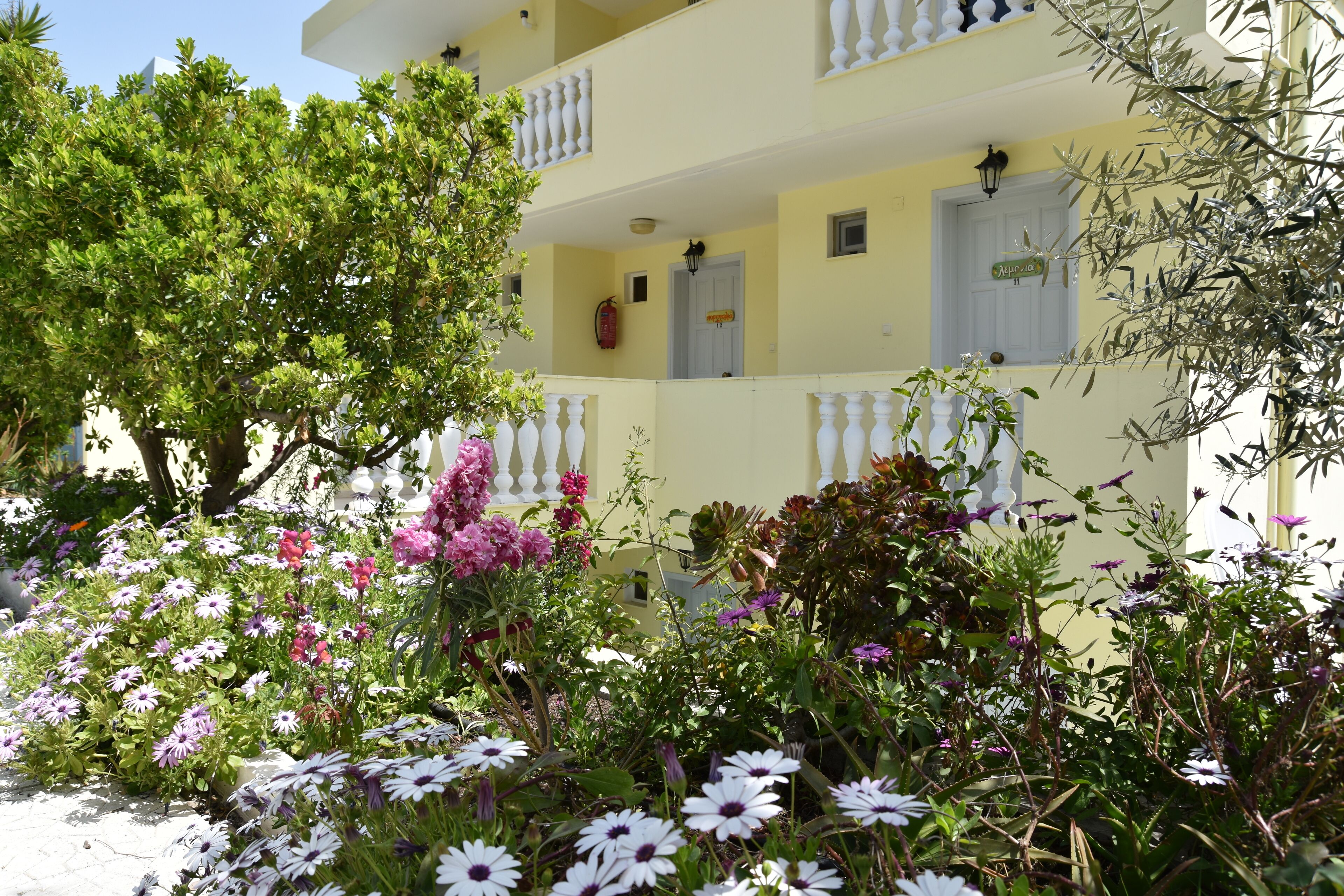 A yellow building with balconies, surrounded by a garden with various flowers and a tree.