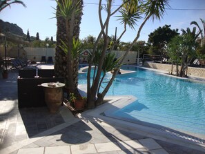 A pool area with a clear blue pool, surrounded by palm trees and lounge chairs.