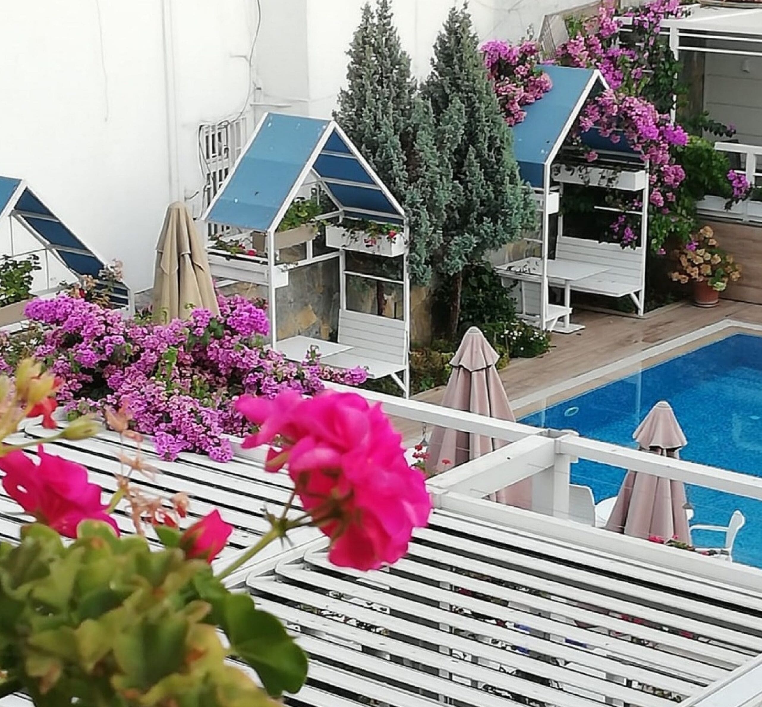 Zona junto a la piscina con tumbonas, una piscina y plantas en macetas.