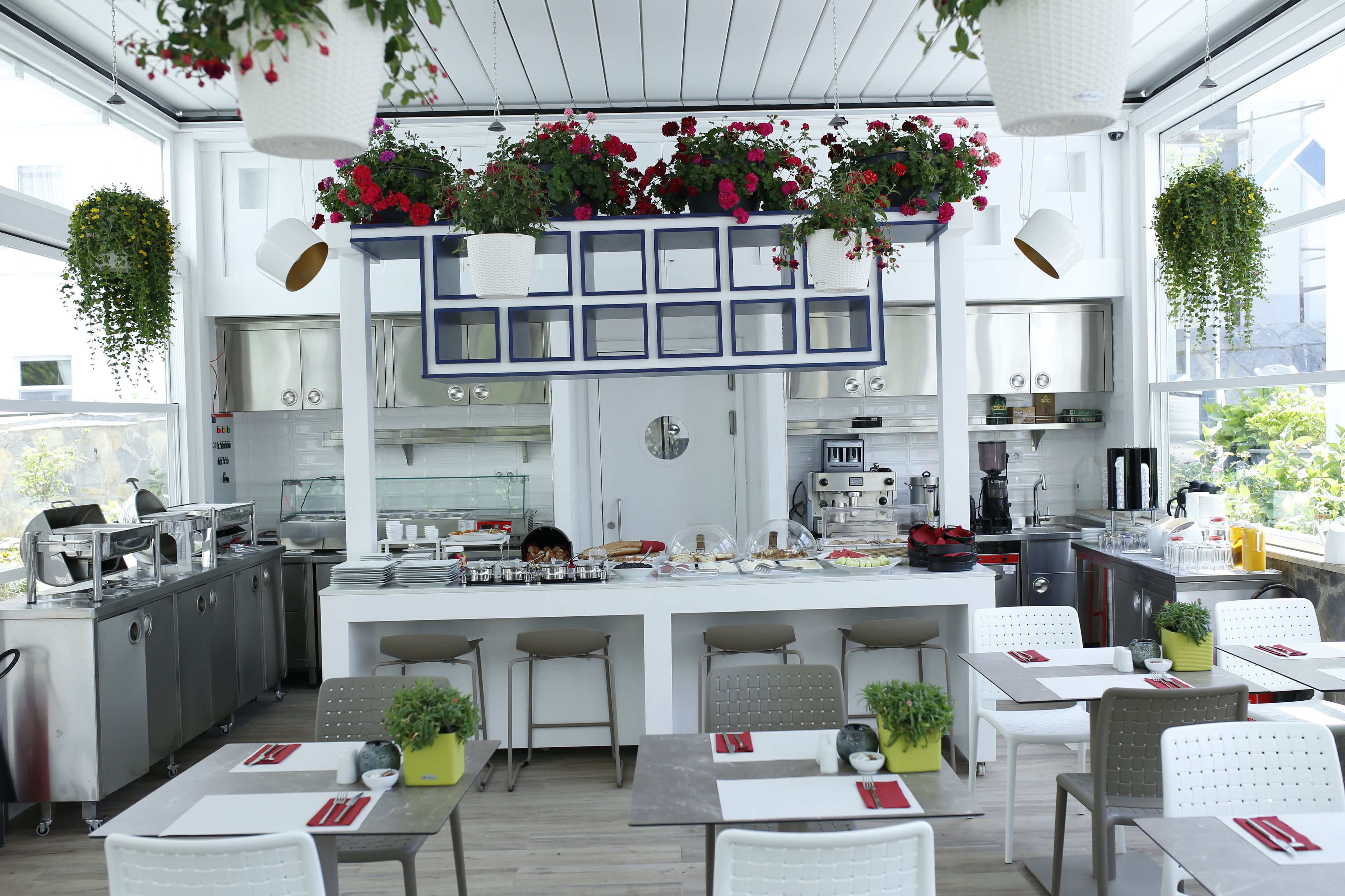 A modern kitchen with white cabinets, a central island, and hanging plants.