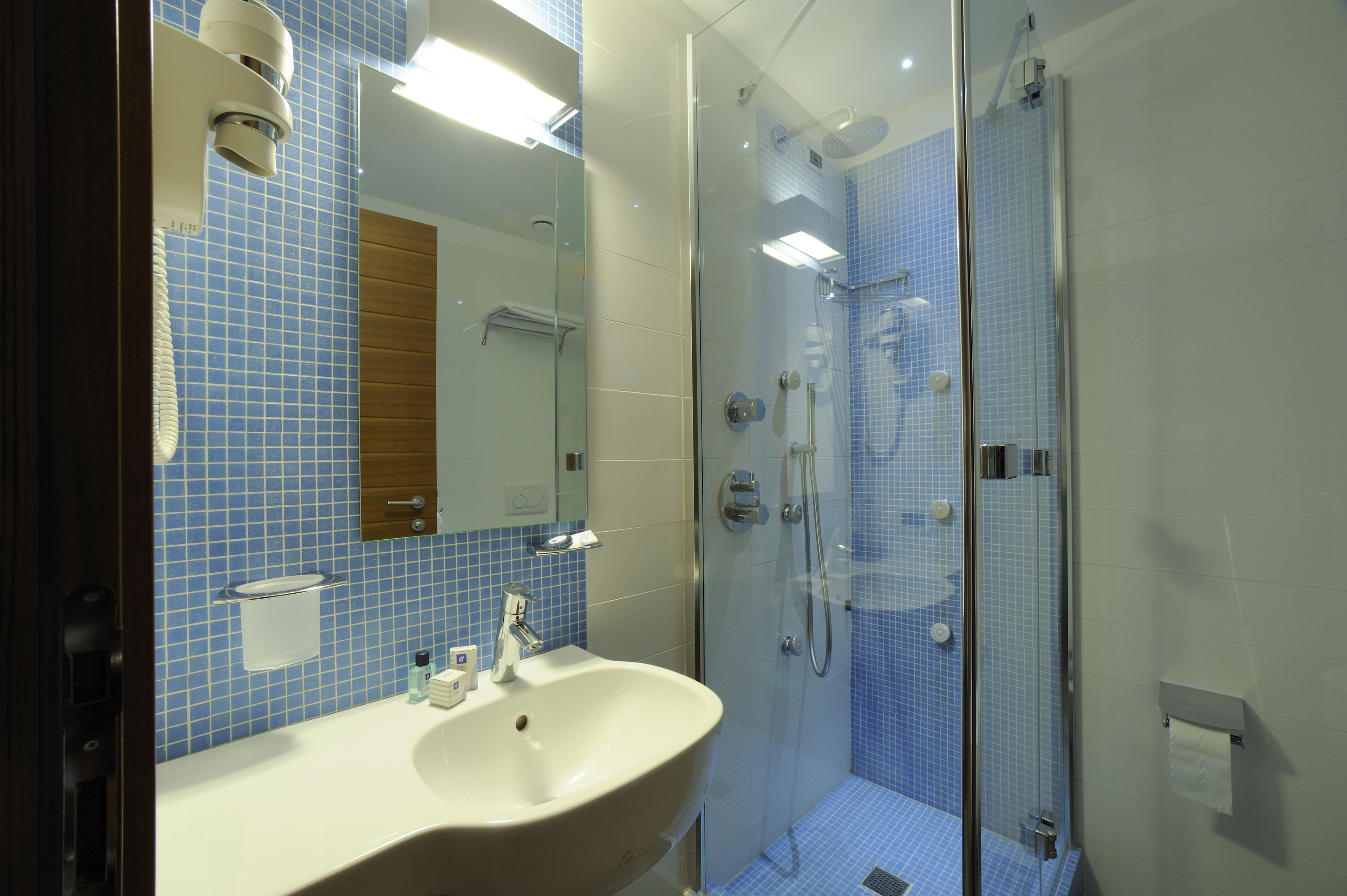 single room | bathroom | shower, rainfall showerhead, hair dryer, bidet