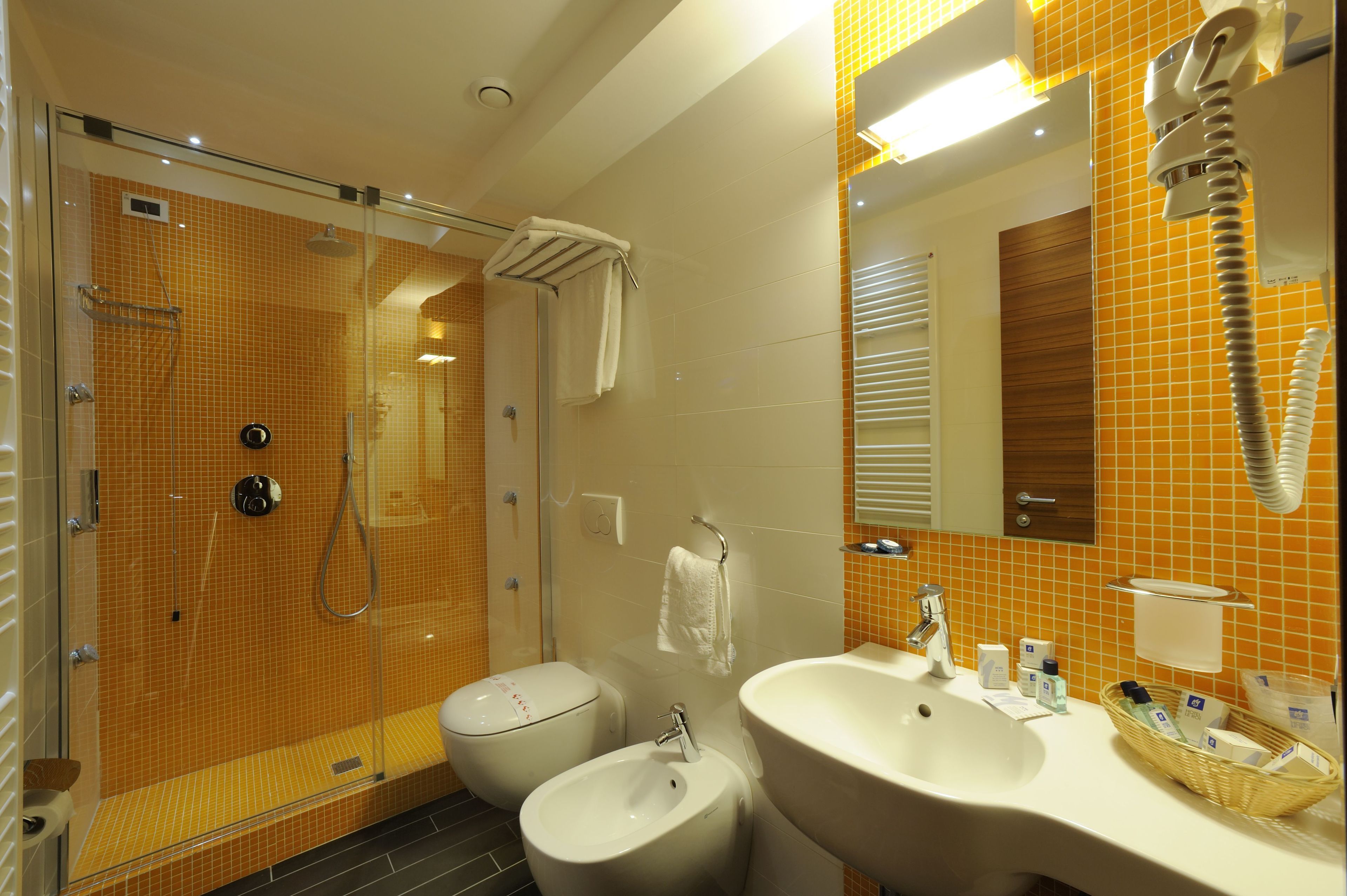 shower, rainfall showerhead, hair dryer, bidet