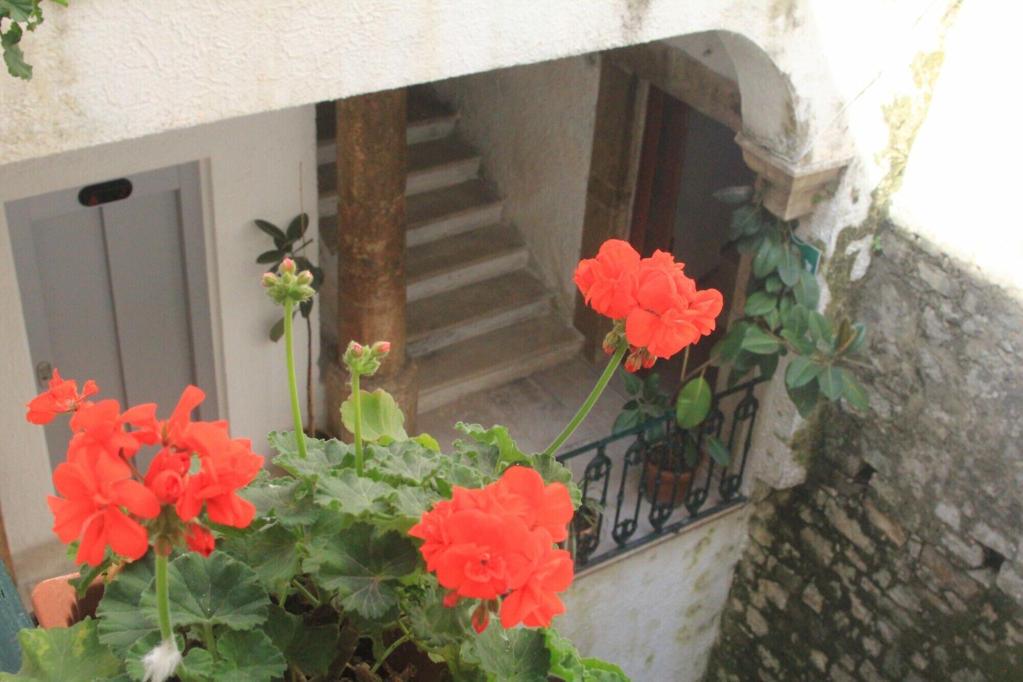 triple room | garden view