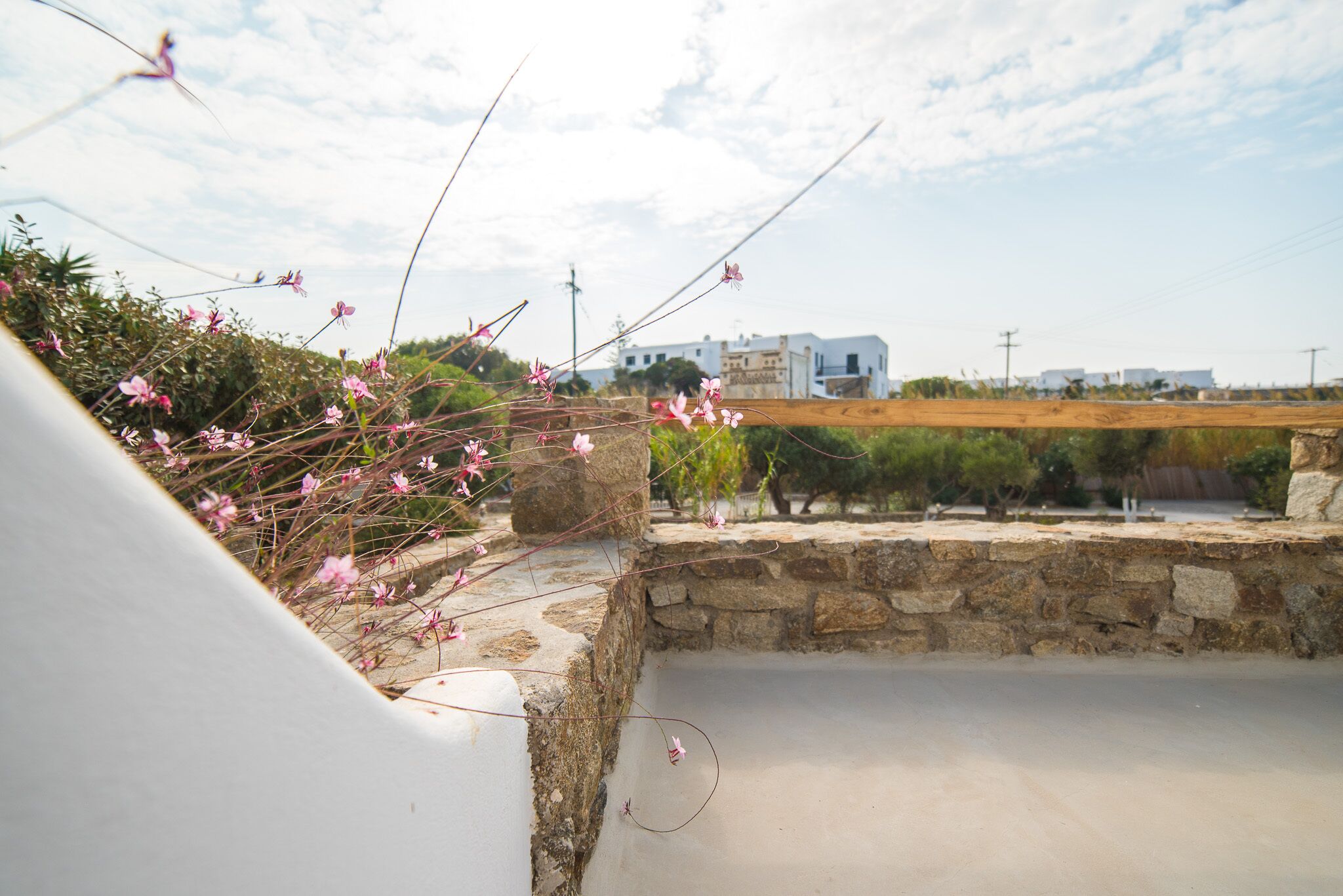 standard room | garden view