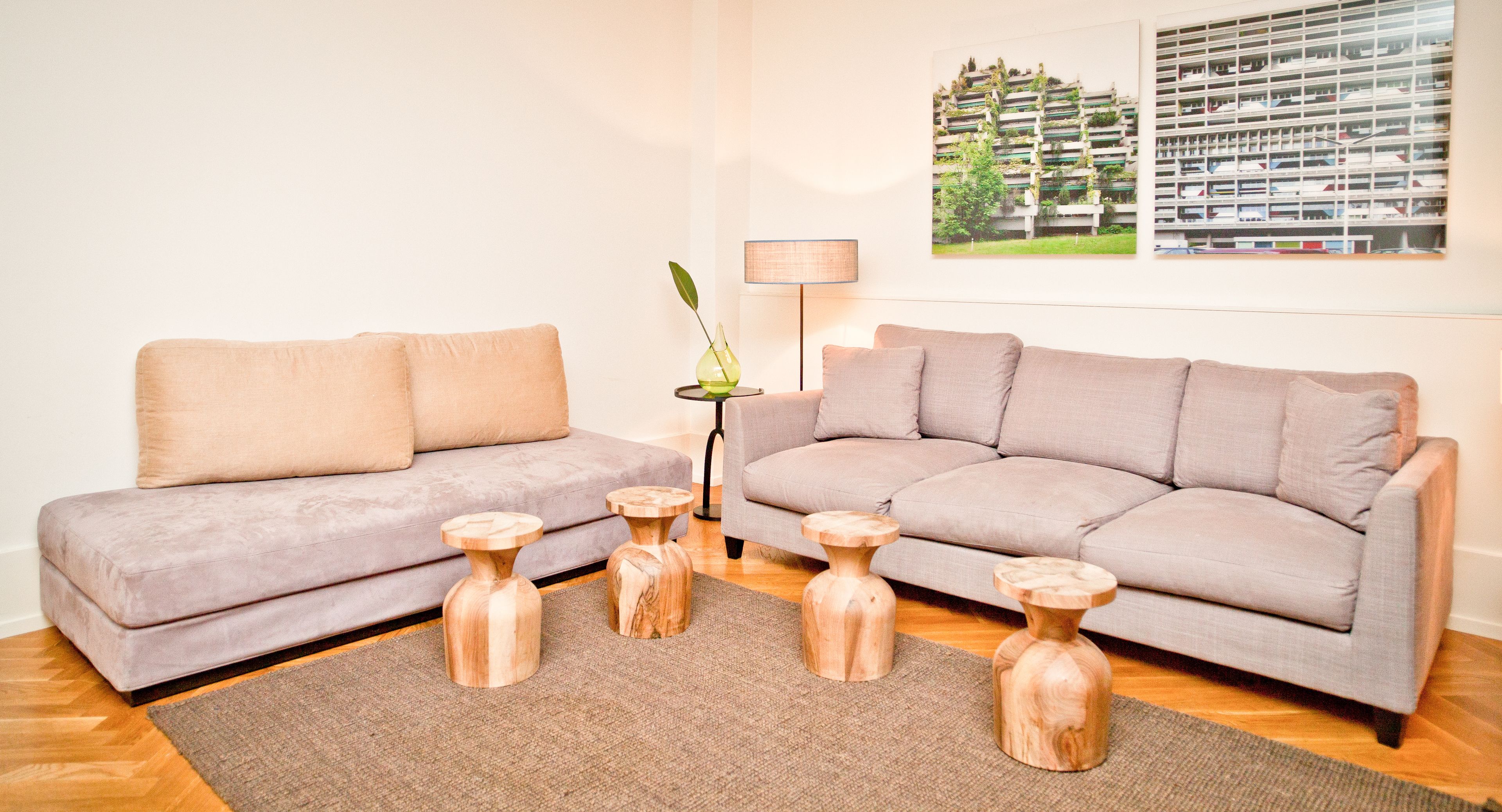 A living room with two sofas, wooden side tables, a floor lamp, and a rug.