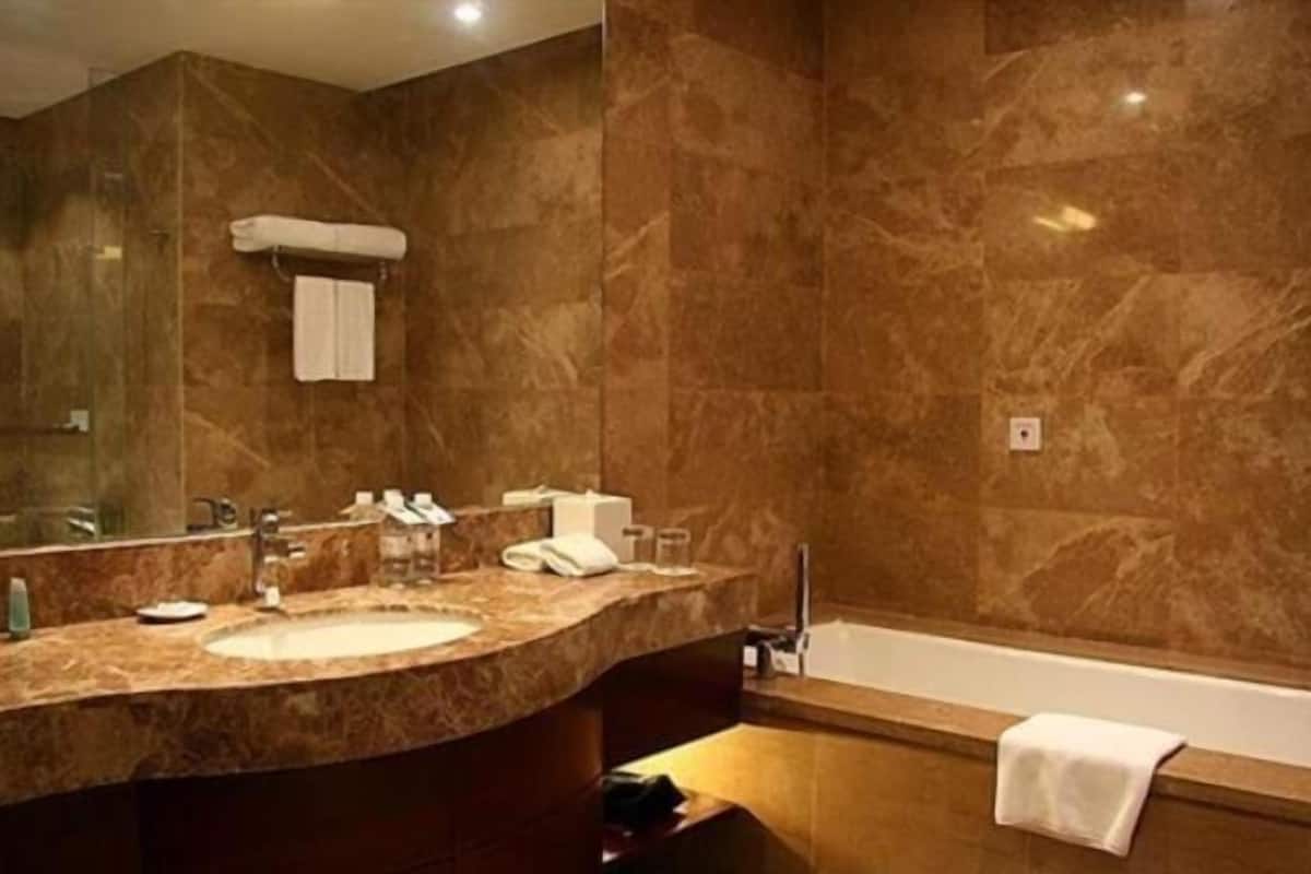 separate bathtub and shower, free toiletries, hair dryer, bathrobes