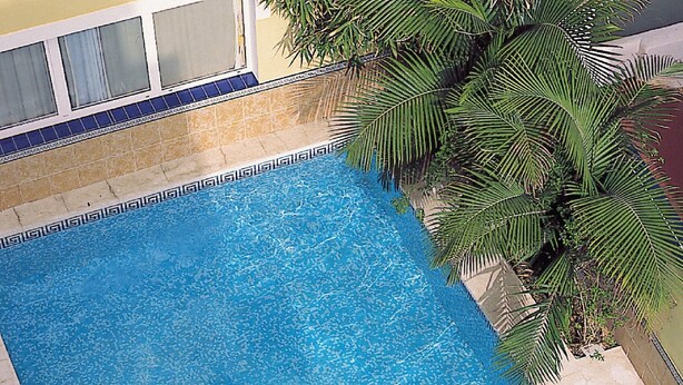 A rectangular swimming pool with clear blue water, surrounded by a tiled deck and a palm tree. - RF Apartamentos Bambi - Adults Only (Puerto de la Cruz)