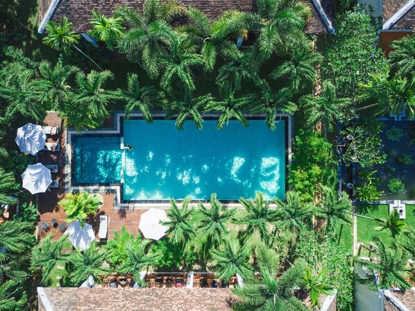 Ovenudblik over en rektangulær swimmingpool omgivet af frodig vegetation og palmer, med liggestole og parasoller langs kanten.