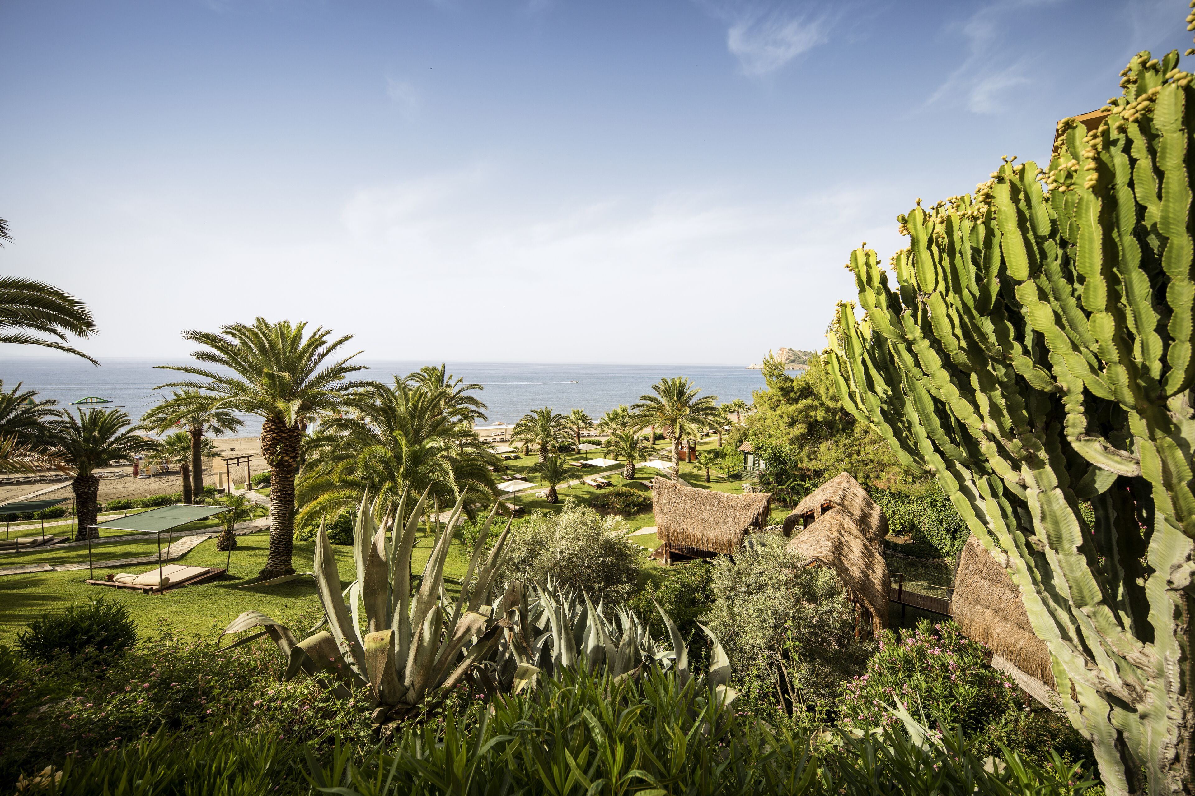 A lush garden with palm trees, a cactus, and a thatched-roof structure.