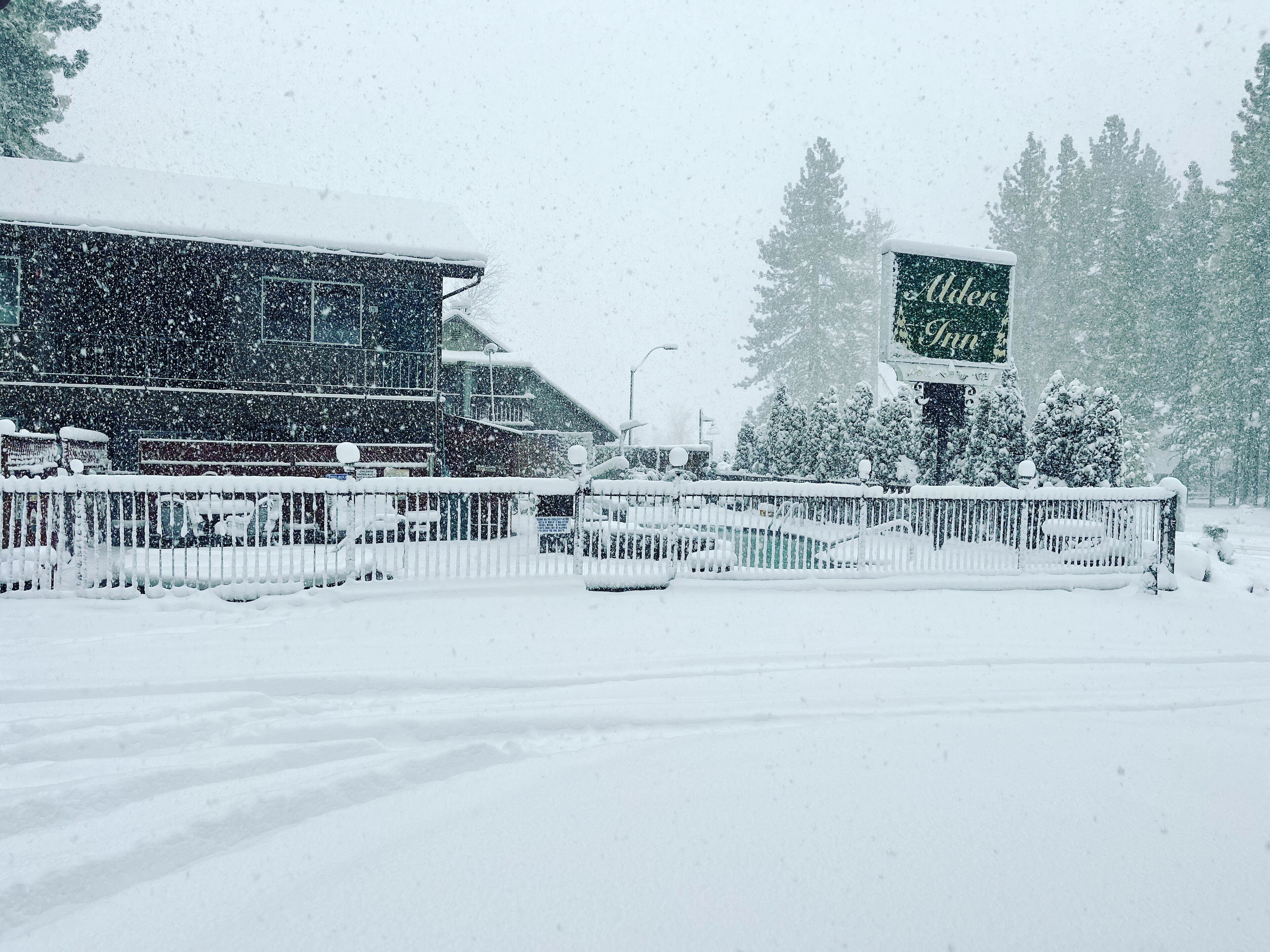 Foto - The Alder Inn