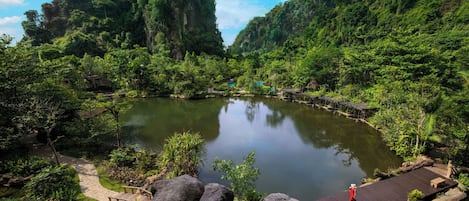 Vista dalla struttura