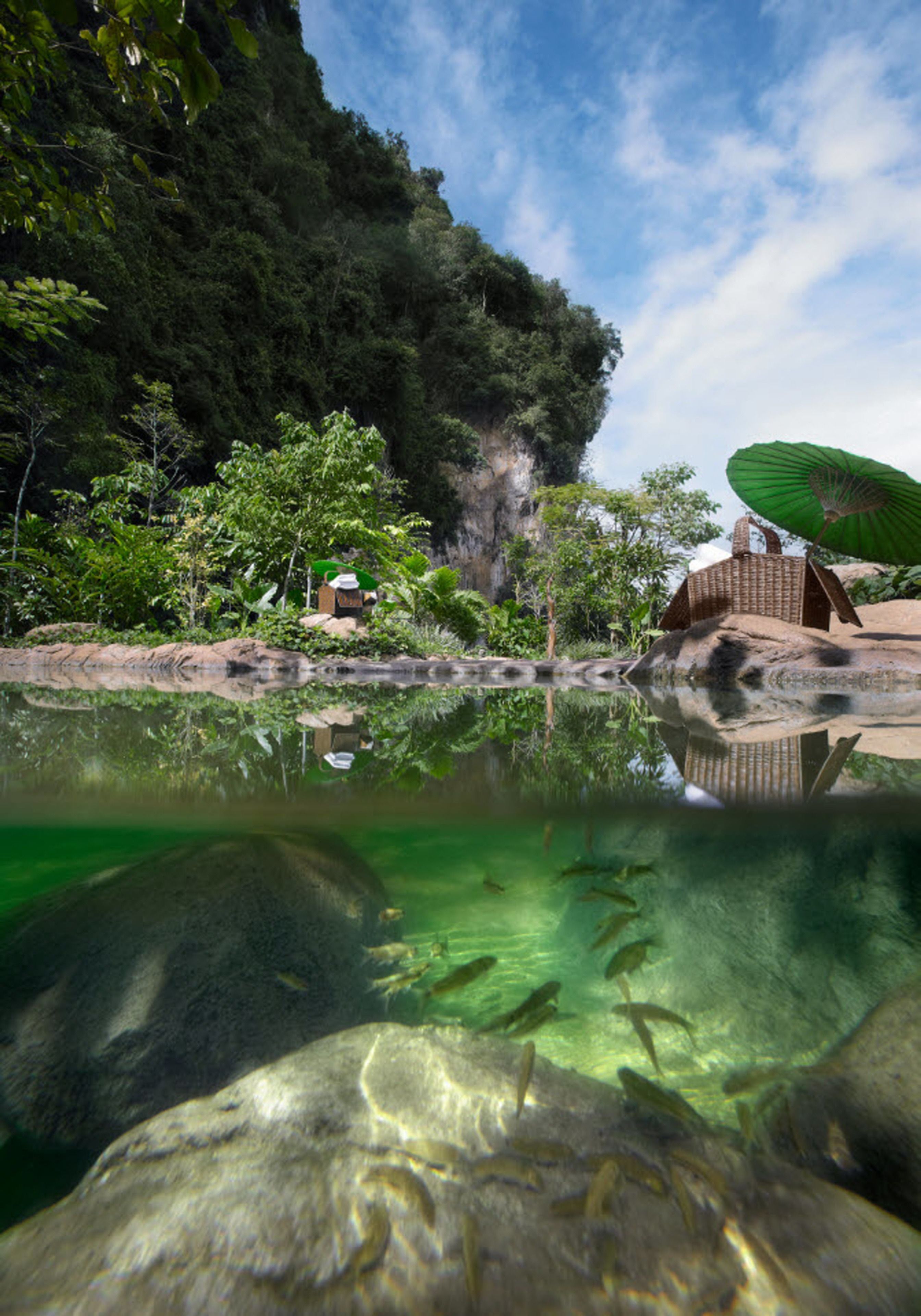 A clear view of a pond with fish, surrounded by lush greenery and a rocky cliff.