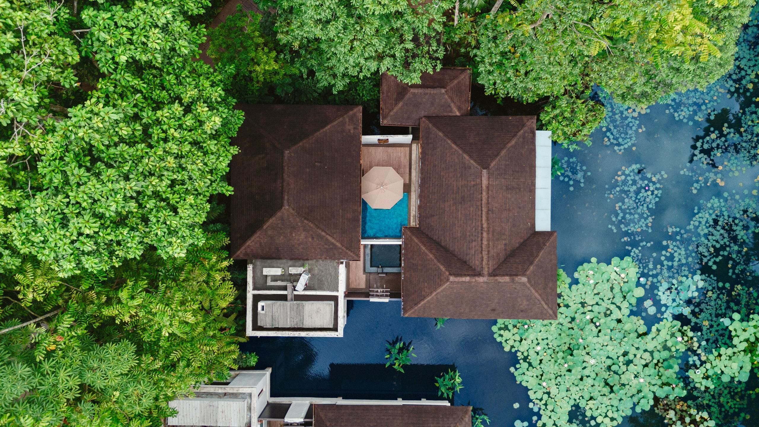 Vista aérea de una casa con piscina rodeada de abundante vegetación y un estanque con lirios.