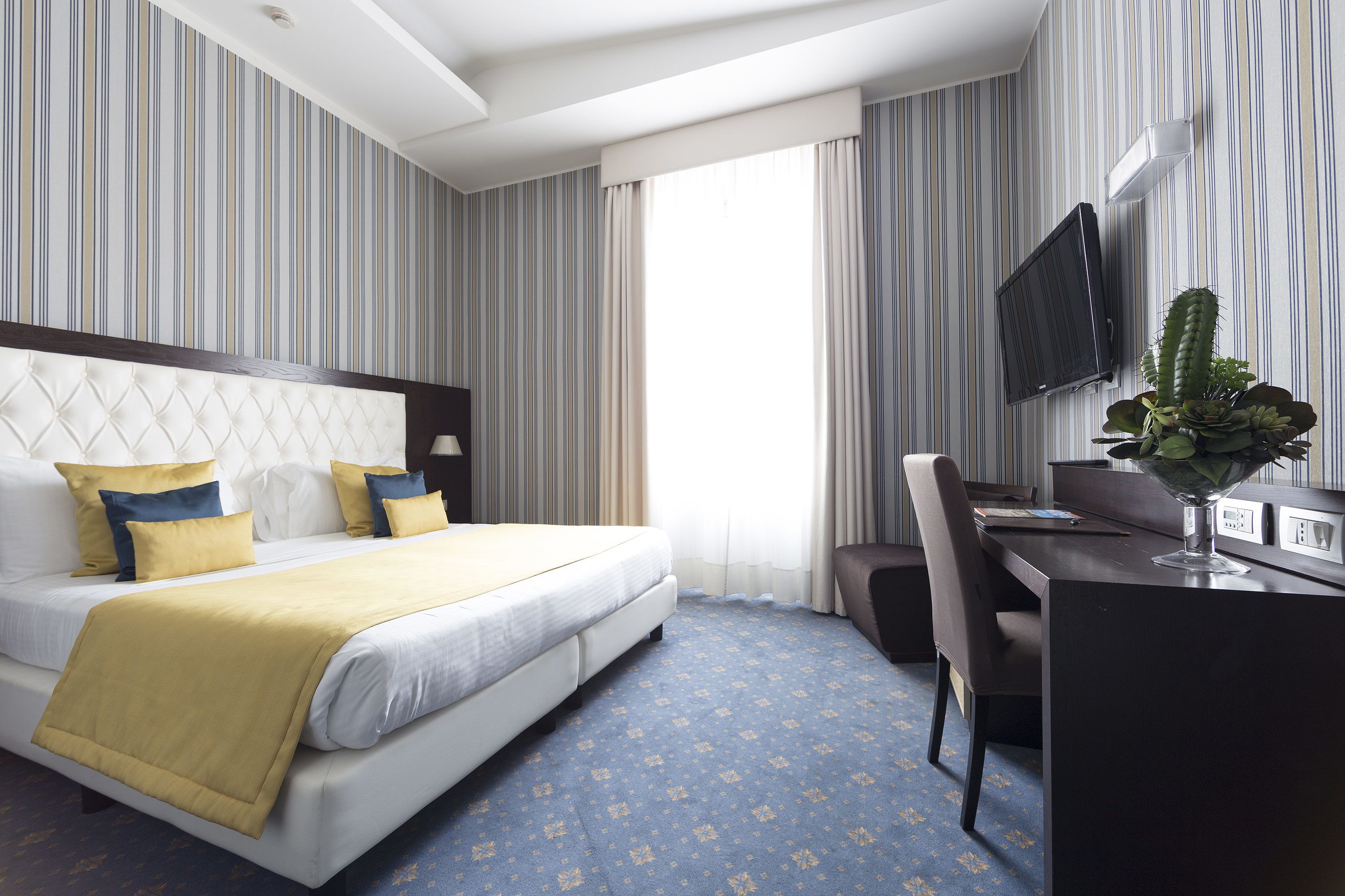 A hotel room with a bed, a desk, a chair, a television, and a cactus plant.