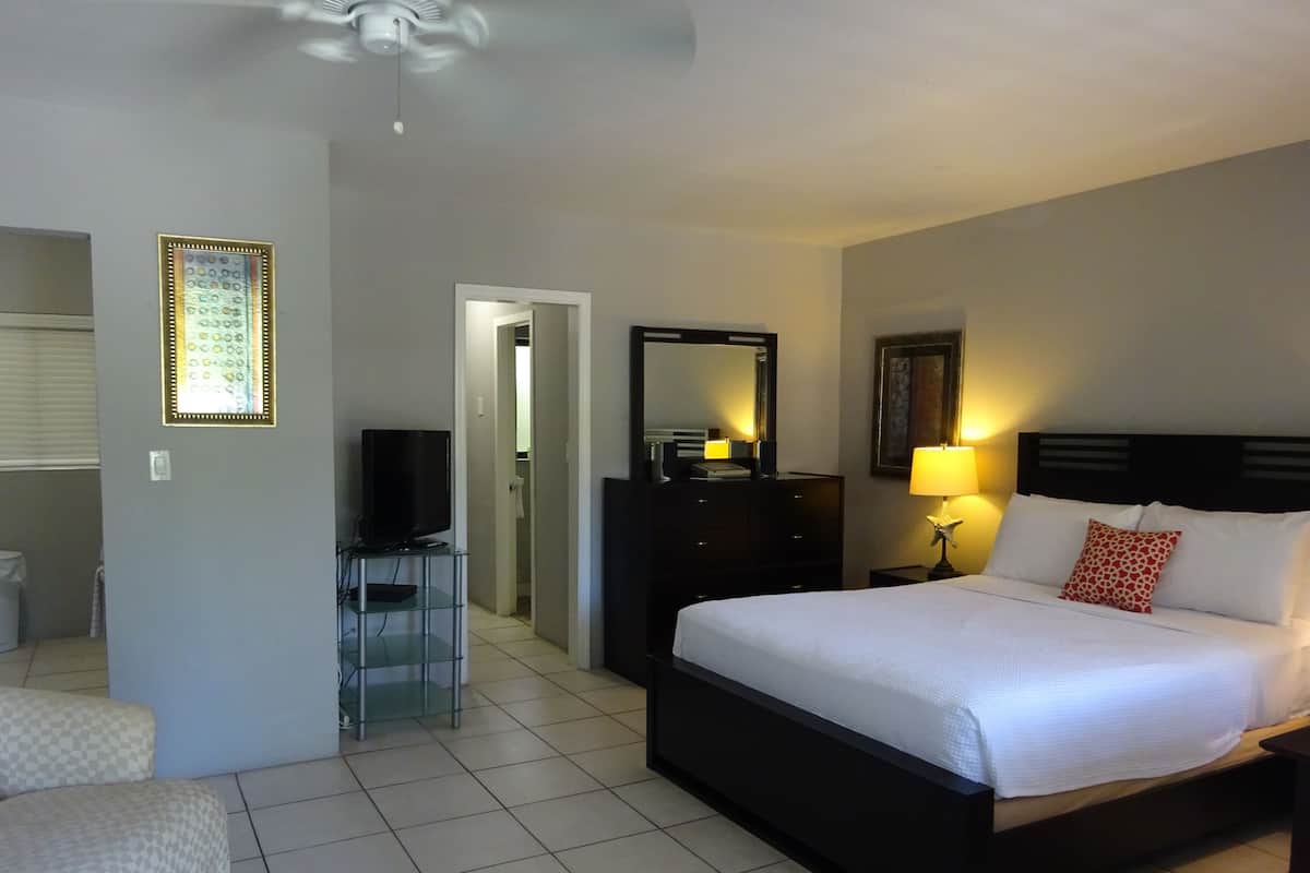 Standard Room, 1 Bedroom, Non Smoking (Superior Queen- 4) | Iron/ironing board, WiFi (free), individually decorated