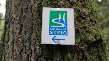 Schild an einem Baumstamm mit dem Text 'Saar-Hunsrück STEIG' und einem nach links zeigenden Pfeil.
