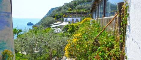 A balcony with a view of the sea and a garden.