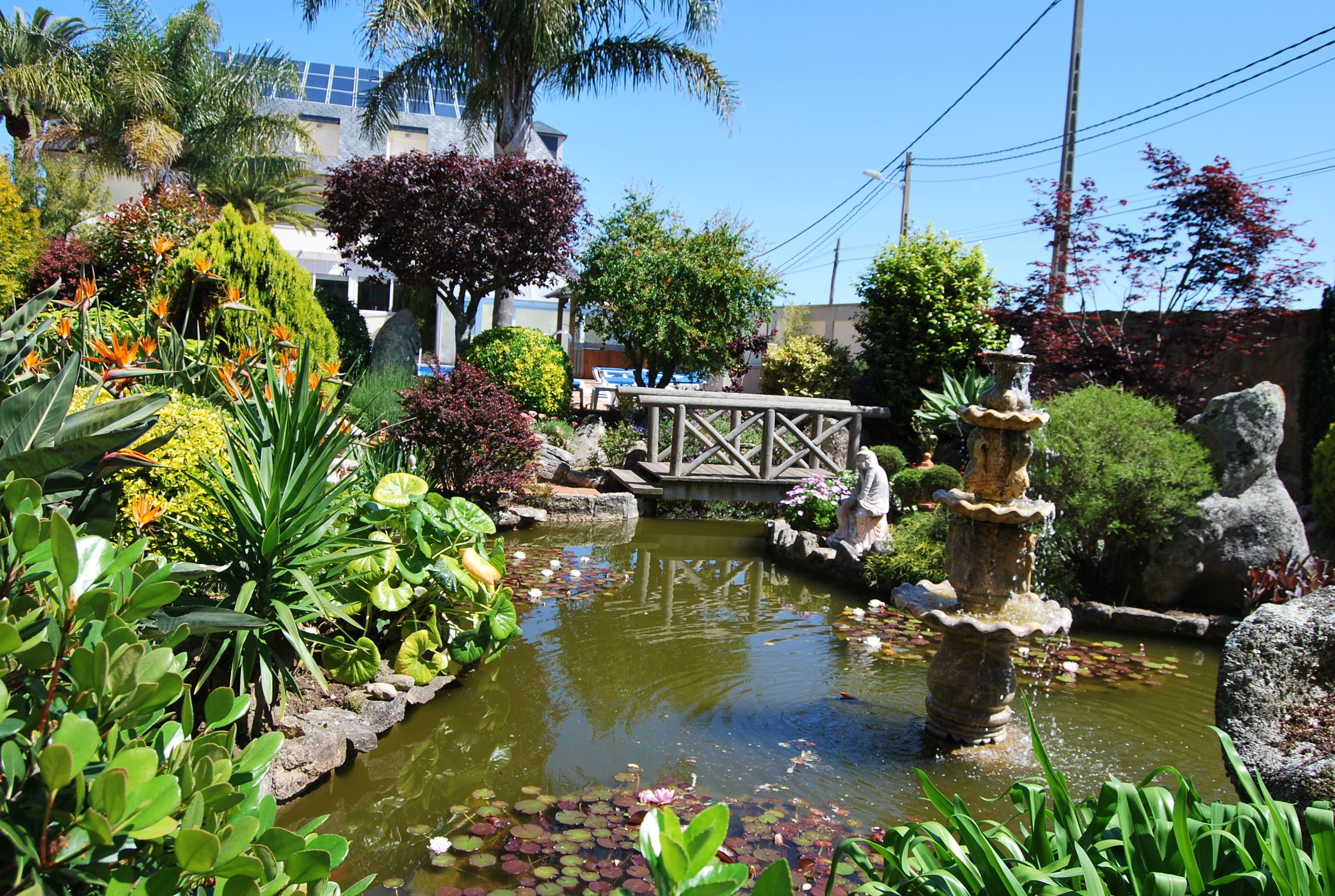 A garden with a pond, various plants, and a bridge.