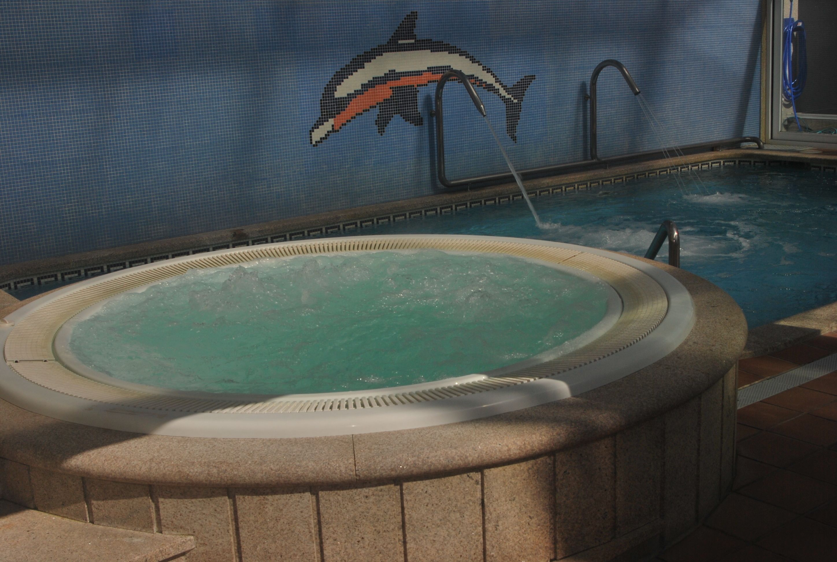 Un jacuzzi avec une fresque représentant un dauphin sur le mur et une piscine en arrière-plan.