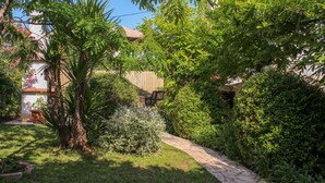 Un jardín con un camino empedrado, distintas plantas y un edificio al fondo.