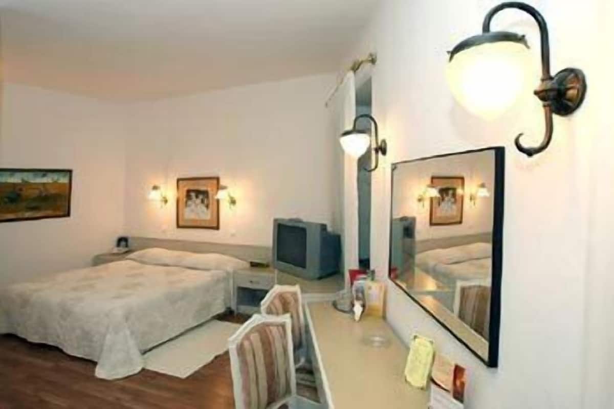 Habitación individual estándar | Minibar, caja fuerte, escritorio y wifi gratis