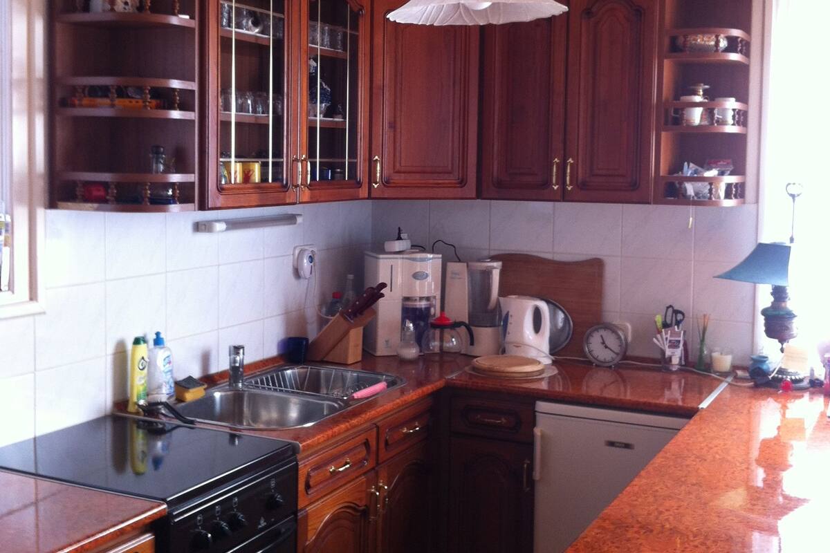 Family Apartment, 1 Bedroom | Private kitchen
