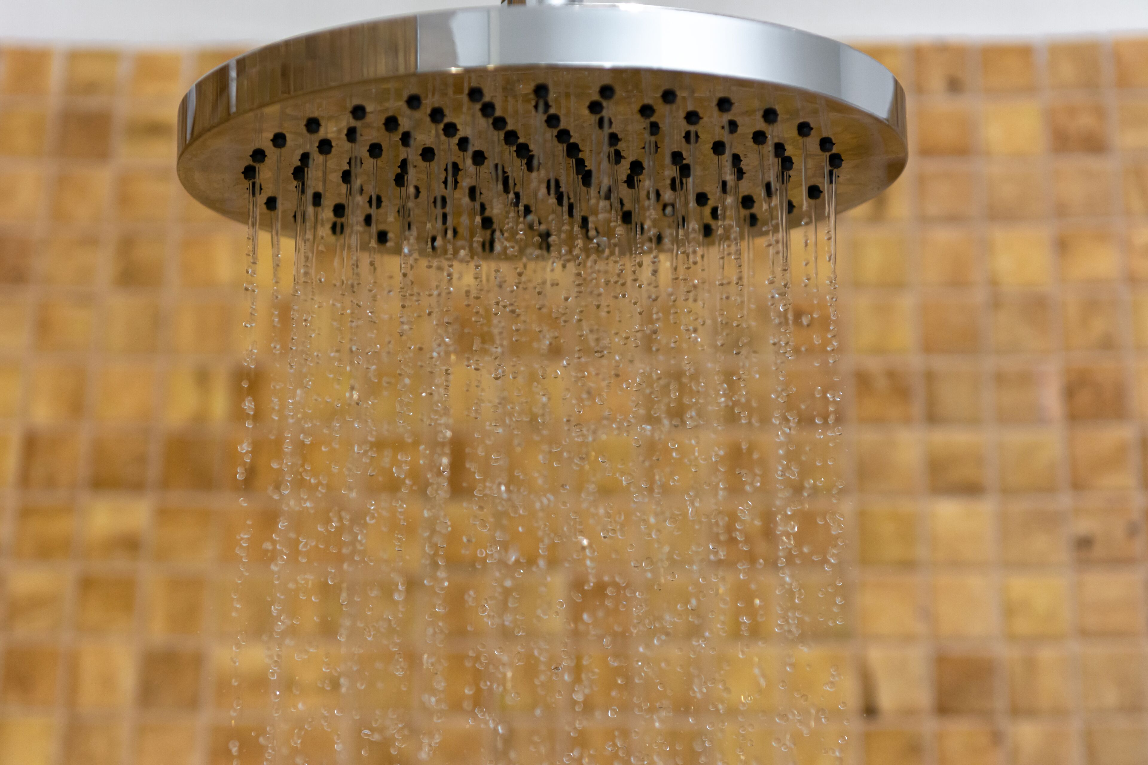 suite | bathroom | shower, hair dryer, towels