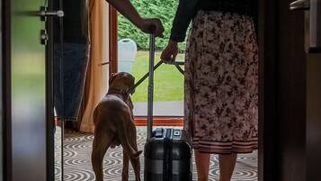 A doorway with a suitcase on the floor, a dog, and two people standing by the door.