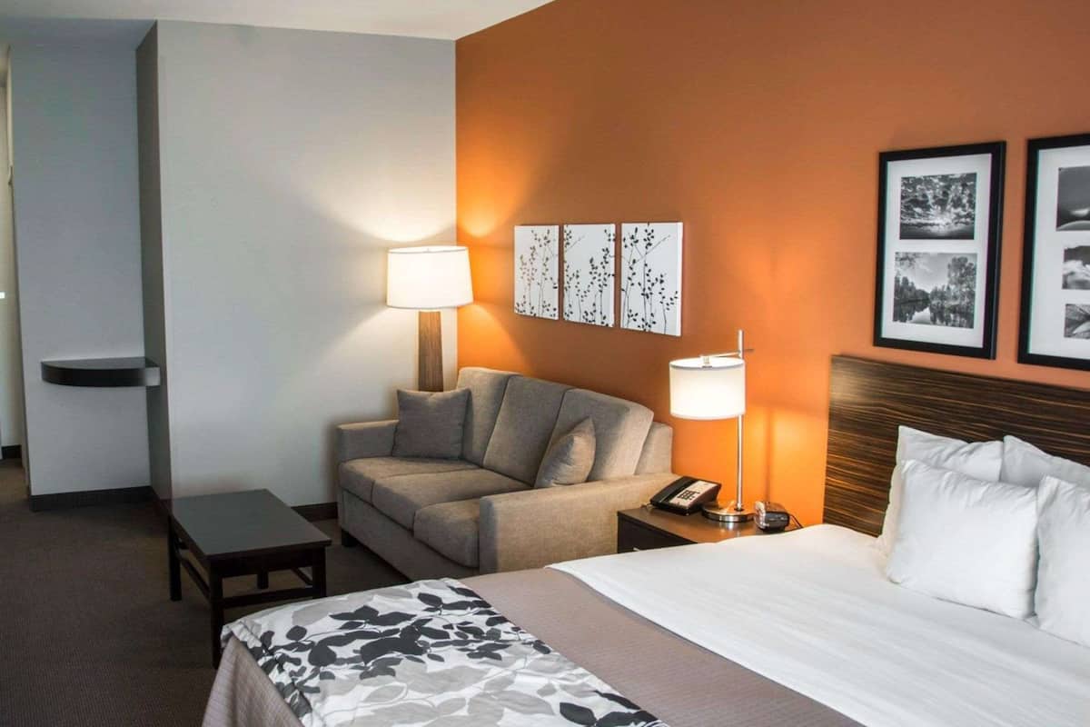 standard room, 1 king bed, non smoking | desk, blackout curtains, iron/ironing board, rollaway beds