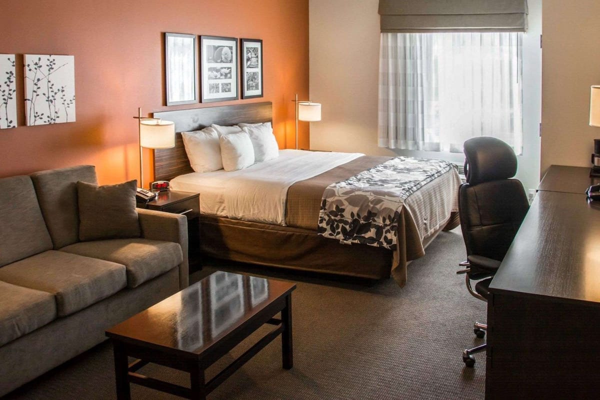 Standard Room, 1 King Bed, Non Smoking | Desk, blackout drapes, iron/ironing board, rollaway beds