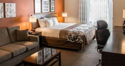 Sleep Inn & Suites Shreveport near Medical Center