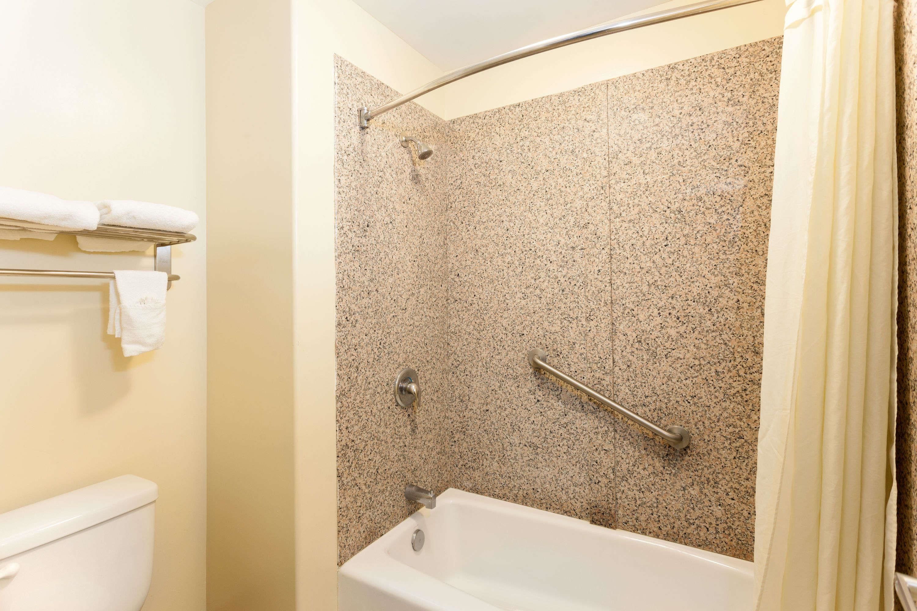 A bathroom with a shower, toilet, and towel rack.