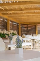 A restaurant with white tables and chairs, a thatched roof, and a potted lavender plant on the table.