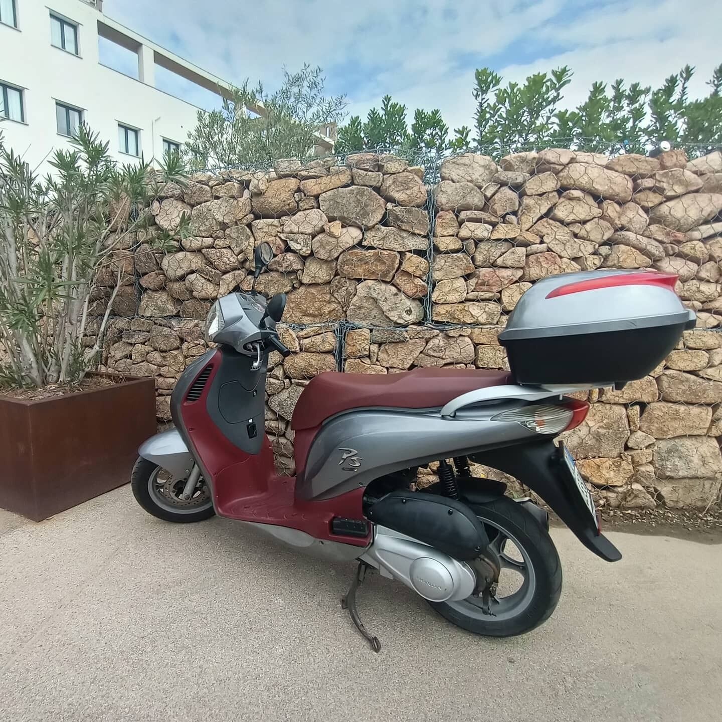 scooter/moped