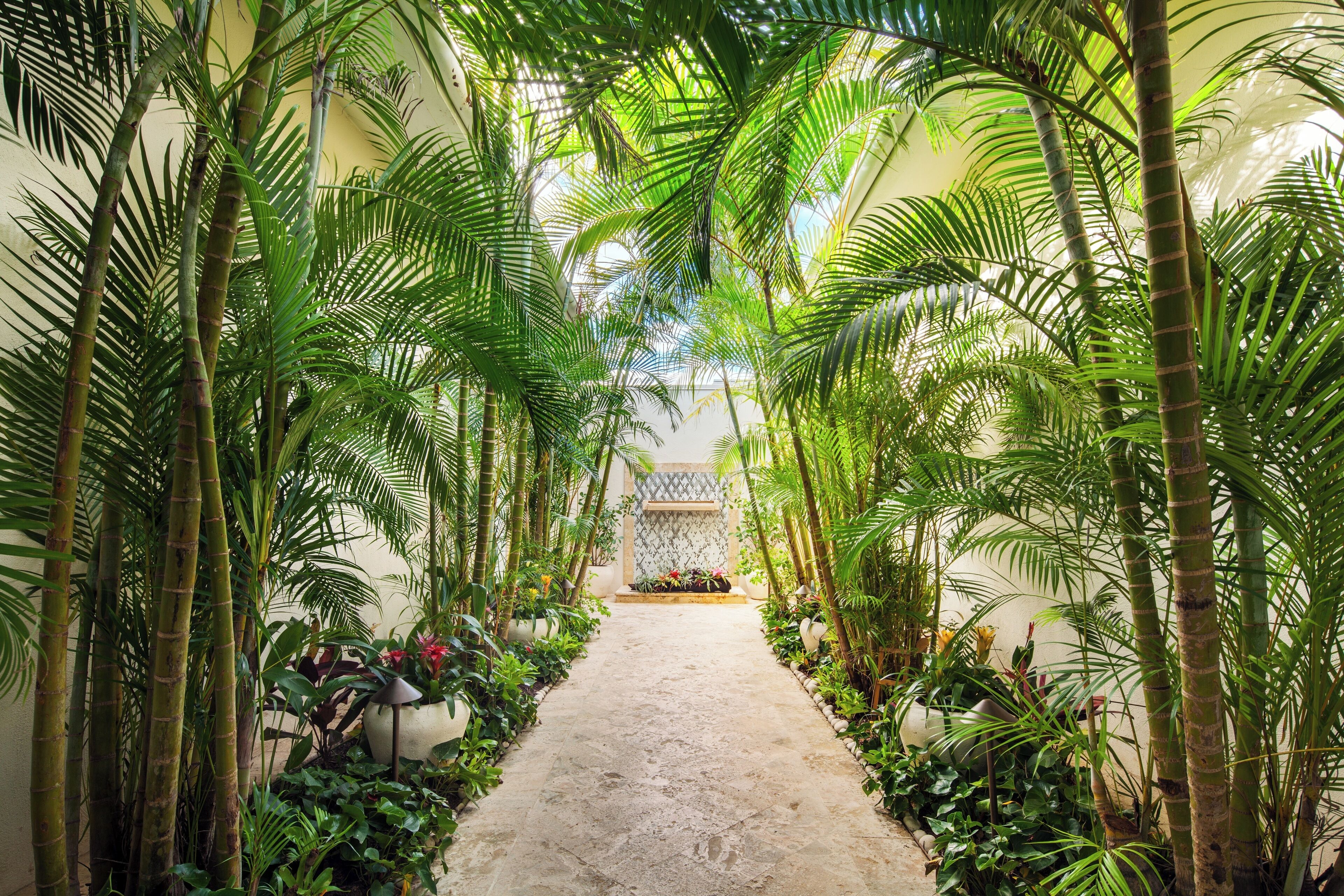 Couples treatment rooms, sauna, hot tub, steam room, body treatments